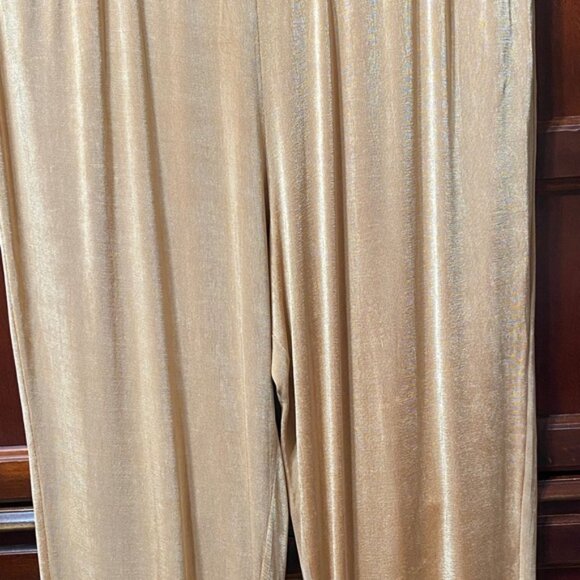 Silhouettes Vintage plus size 3X stretchy Elegant Tan Women's Pants - Picture 3 of 16